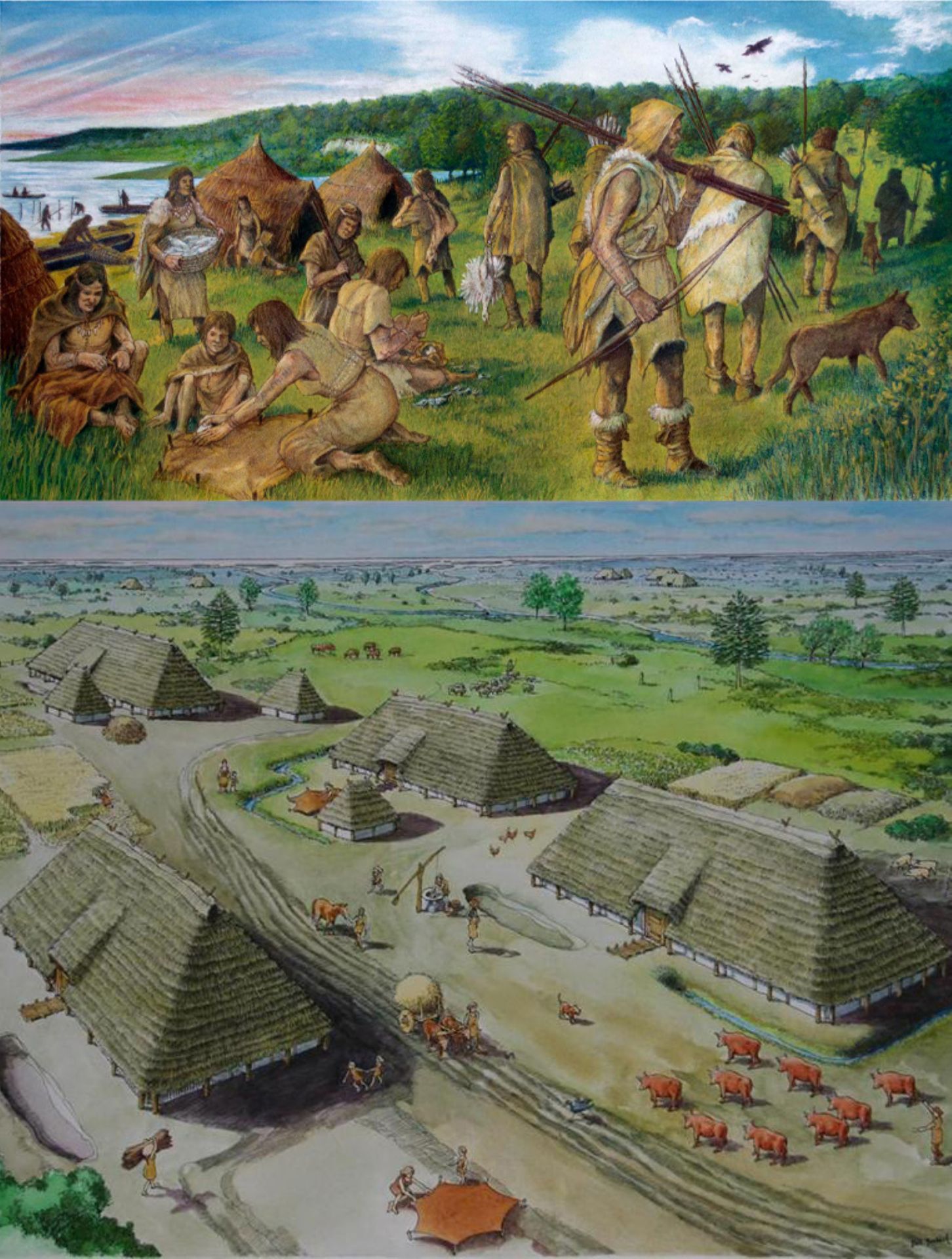 Eerst trokken mensen rond en leefden als jagers en verzamelaars in tenten. Zo�n 9000 jaar geleden beginnen mensen boerderijen te bouwen. Ze leggen akkers aan en houden dieren. Dit zijn de eerste boeren.  

Denkvraag! Waarom zouden mensen liever als boer leven dan als jager-verzamelaar?